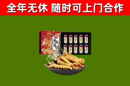 林州市回收冬虫夏草价格